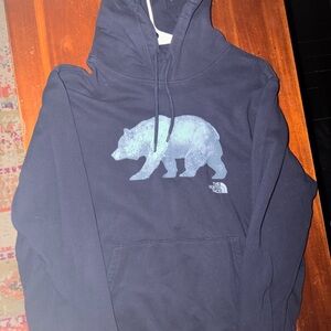 The North Face Men's Navy Hoodie with Bear Design